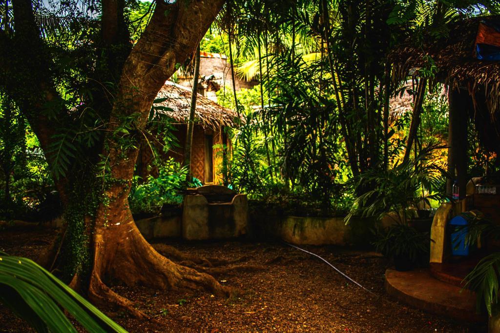Lennon'S Place Backpacker Hostel Panglao Bagian luar foto